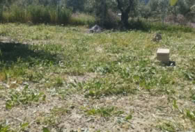 La Guardia de Jaén 809&nbsp;м²