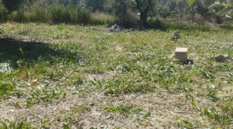 Jaen - La Guardia de Jaén - 809m2
