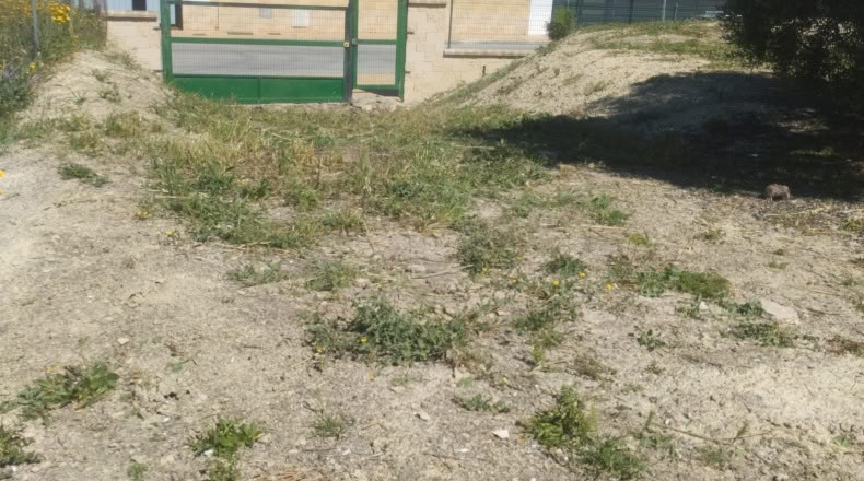 Jaen - La Guardia de Jaén - 809m2