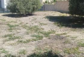 La Guardia de Jaén 809&nbsp;м²