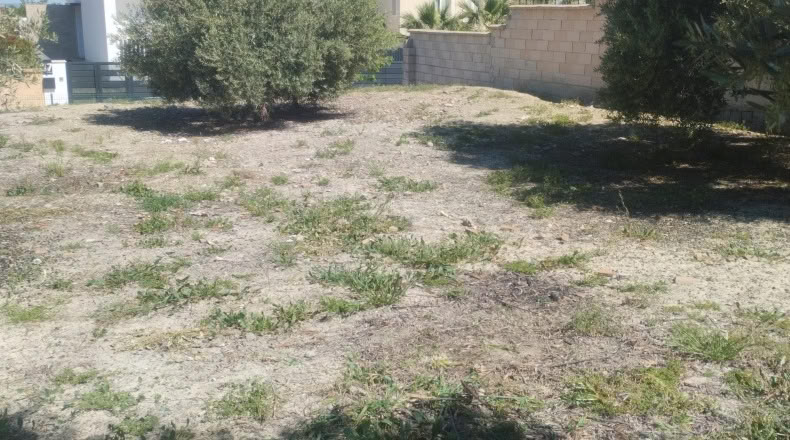 Jaen - La Guardia de Jaén - 809m2