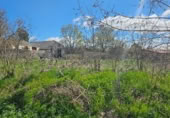 Urban land for sale on C/olmos, Jabalera, ref: TR396207 photo
