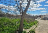 Urban land for sale on C/olmos, Jabalera, ref: TR396207 photo