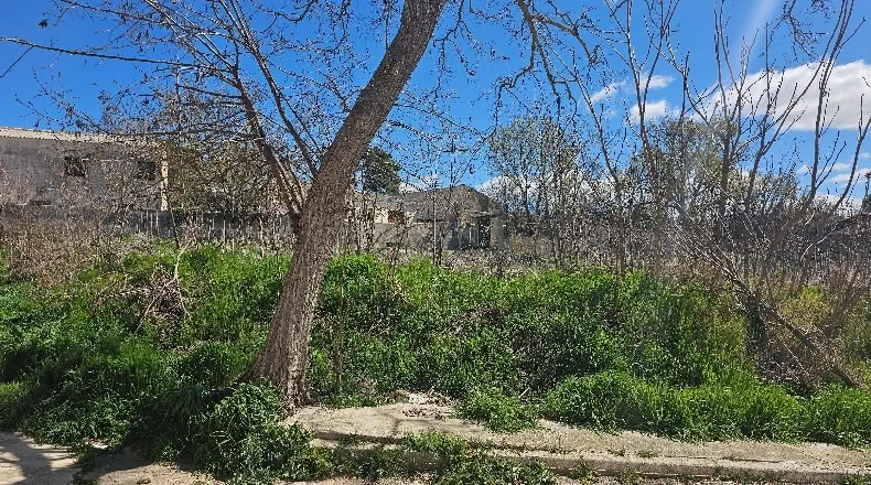 Cuenca - Jabalera - 400m2