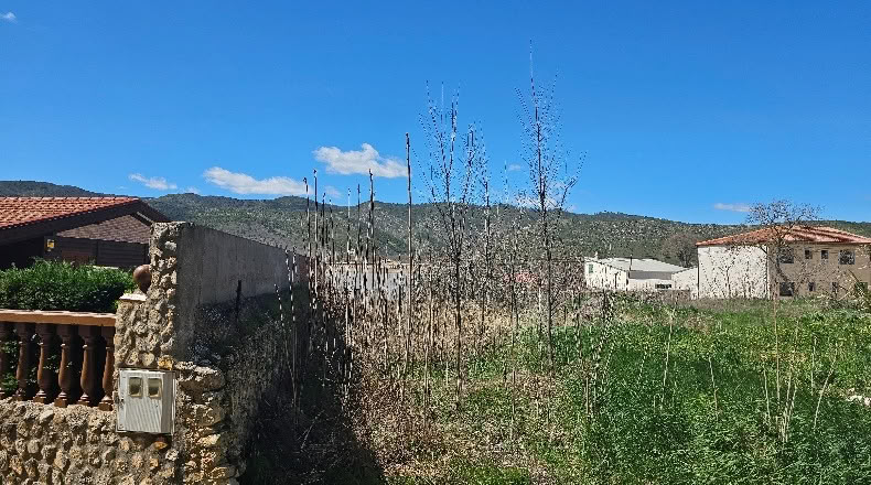 Cuenca - Jabalera - 400m2