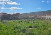 Urban land for sale on C/olmos, Jabalera, ref: TR396207 photo
