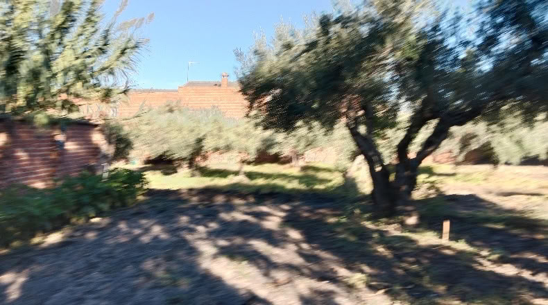 Toledo - Calzada de Oropesa - 659m2
