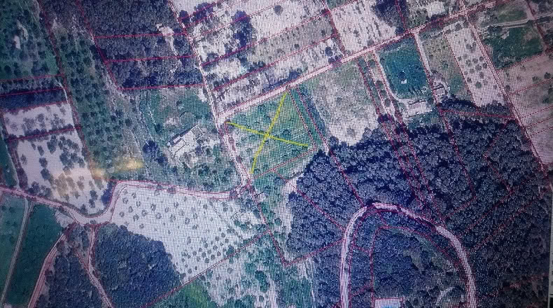 Islas Baleares - Montuïri - 5300m2