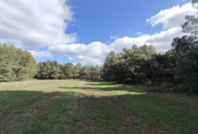 Calaceit 37639&nbsp;m² 
