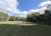Chalet independiente con terreno en venta en la España, Calaceite, ref: TR400654 foto