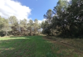Chalet independiente con terreno en venta en la España, Calaceite, ref: TR400654 foto