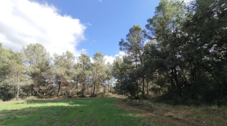 Teruel - Arens de Lledó - 37639m2
