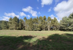 Calaceit 37639&nbsp;m² 
