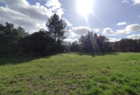 Calaceit 37639&nbsp;m² 