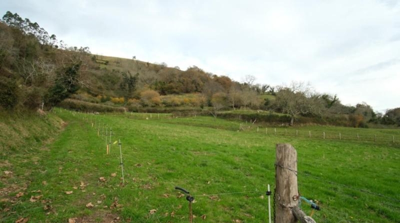 León - Sariegos del Bernesga - 2040m2