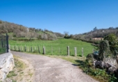 Non-developable land for sale on España, Sariegumuertu, ref: TR396721 photo