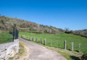 Non-developable land for sale on España, Sariegumuertu, ref: TR396721 photo