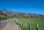 Non-developable land for sale on España, Sariegumuertu, ref: TR396721 photo