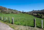 Non-developable land for sale on España, Sariegumuertu, ref: TR396721 photo