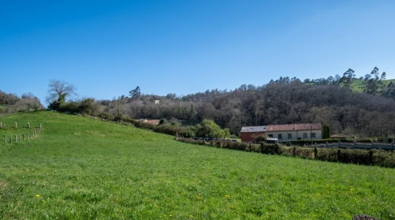 León - Sariegos del Bernesga - 2040m2