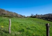 Non-developable land for sale on España, Sariegumuertu, ref: TR396721 photo
