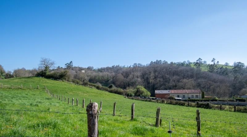 León - Sariegos del Bernesga - 2040m2