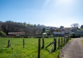 Non-developable land for sale on España, Sariegumuertu, ref: TR396721 photo
