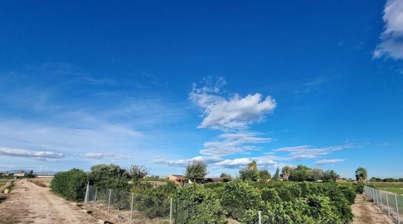 Alicante - Rojals - 2000m2
