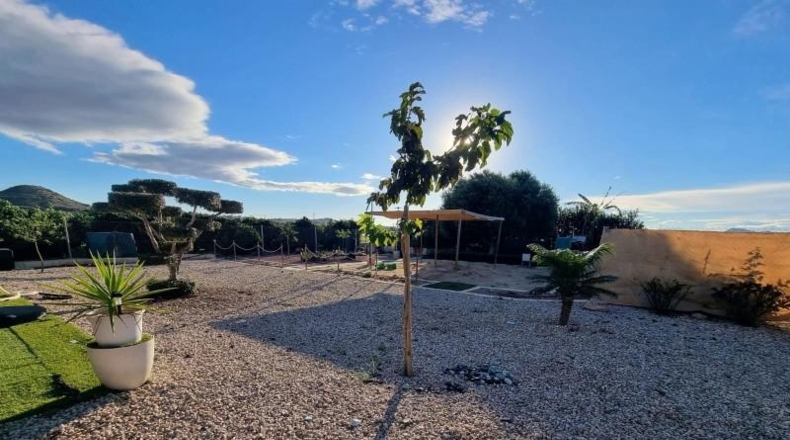 Alicante - Rojals - 2000m2