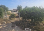 Terreny amb magatzem en venda a la España, Rojals, ref.: TR401409 foto