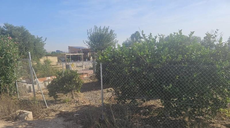 Alicante - Rojals - 2000m2