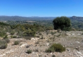 Sòl urbà en venda a la España, Alhaurín el Grande, ref.: TR396249 foto