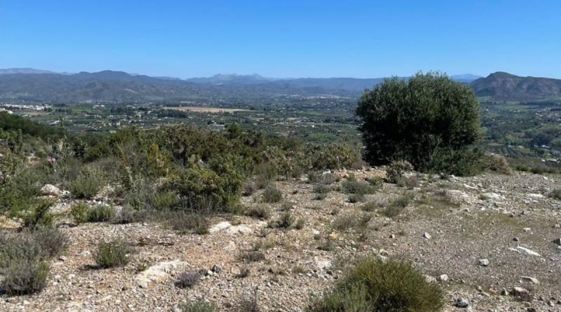 Málaga - Alhaurín el Grande - 1195m2