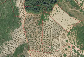 Yunquera 10779&nbsp;m²