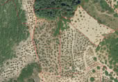 Terreno no urbanizable en venta en la QUERENCIAS, Yunquera, ref: TR396214 foto
