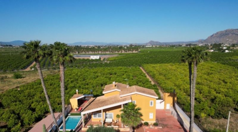 Alicante - Oriola - 9545m2