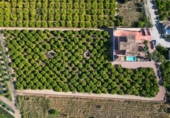 Chalet independiente con terreno en venta en la España, Orihuela, ref: TR401506 foto