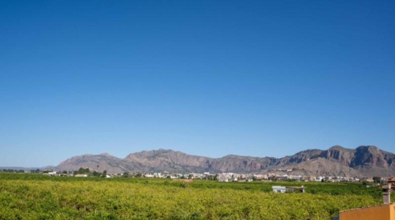 Alicante - Oriola - 9545m2
