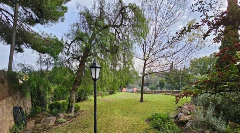 Córdoba - Córdoba - 2220m2