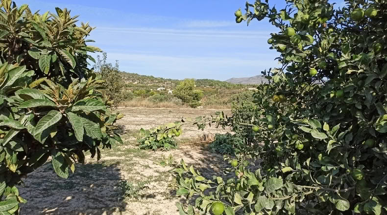 Alicante - Benisa - 6500m2