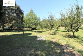 Lugo 2829&nbsp;m²