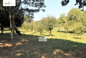 Lugo 2829&nbsp;m²