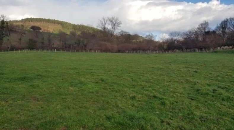 Cantabria - Castro-Urdiales - 2450m2
