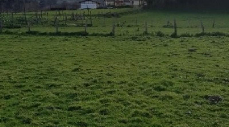 Cantabria - Castro-Urdiales - 2450m2
