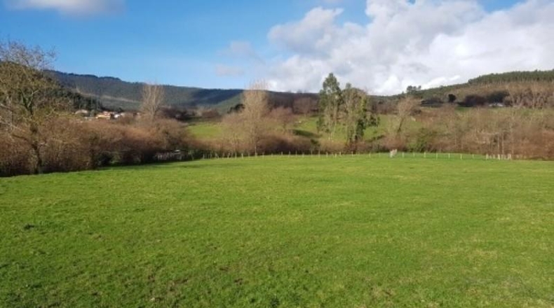 Cantabria - Castro-Urdiales - 2450m2