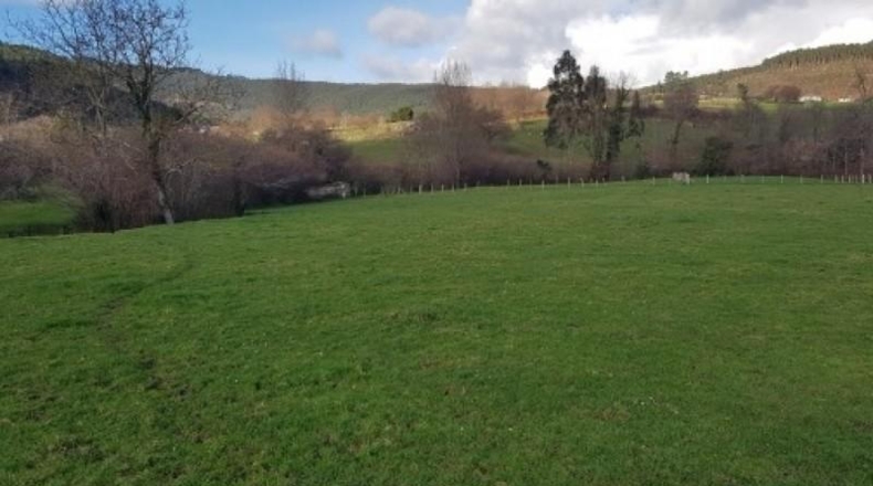 Cantabria - Castro-Urdiales - 2450m2