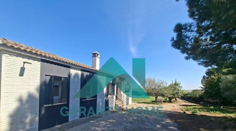 Cáceres - Sierra de Fuentes - 3700m2