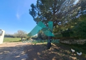 Finca rústica en venda a la España, Sierra de Fuentes, ref.: TR396371 foto