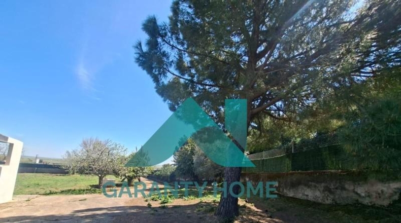 Cáceres - Sierra de Fuentes - 3700m2