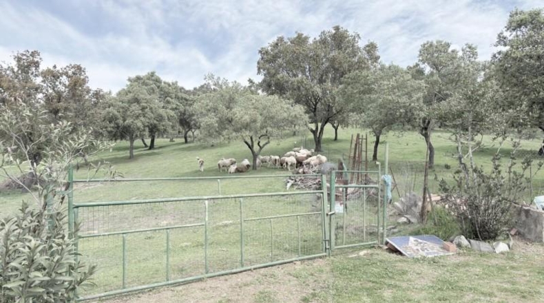 Huelva - Zalamea la Real - 72266m2